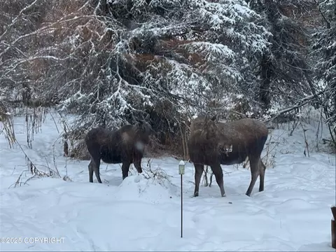 Exterior - 3915 Hiland Rd, Eagle River, AK 99577 photo 10 of 12