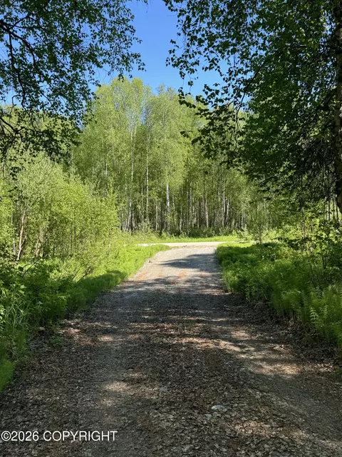 49246 S Hunter Dr, Willow, AK 99688 photo 10