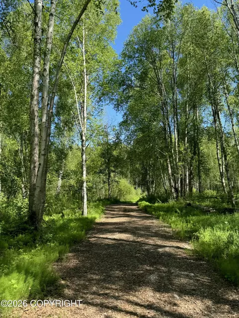 49246 S Hunter Dr, Willow, AK 99688 photo 12