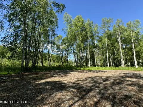 49246 S Hunter Dr, Willow, AK 99688 photo 5