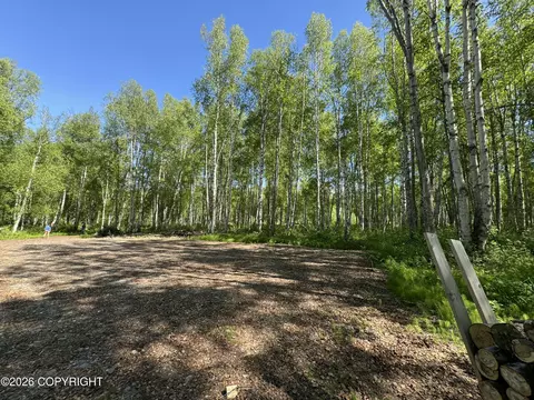 49246 S Hunter Dr, Willow, AK 99688 photo 4