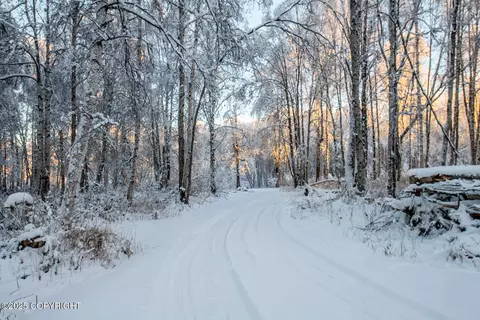 49246 S Hunter Dr, Willow, AK 99688 photo 8