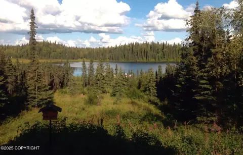 Tr D Asls 85-57, Remote, AK 99683 photo 25