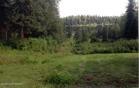 Tr D Asls 85-57, Remote, AK 99683 photo 17