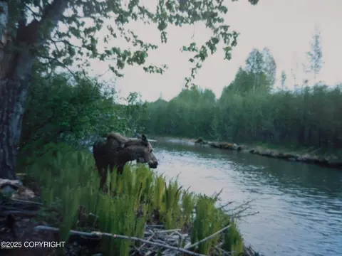 L3-1 Chase 2, Talkeetna, AK 99676