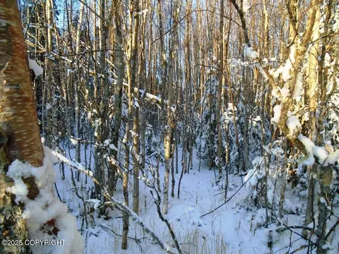 L2 W Shearwater Street, Wasilla, AK 99623