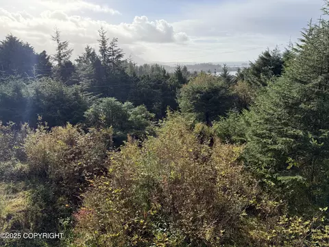 View/Area - 343 Wortman Loop, Sitka, AK 99835 photo 1 of 1