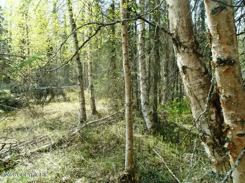 6671 S Lark Cir, Wasilla, AK 99623