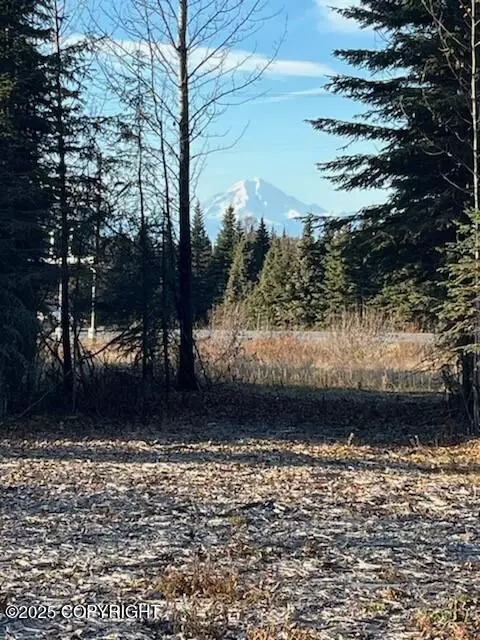 71325 71355 Sterling Hwy, Clam Gulch, AK 99568