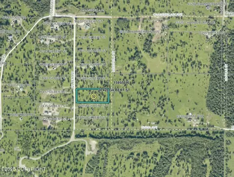 17420 Gilbert St, Ninilchik, AK 99639 photo 3