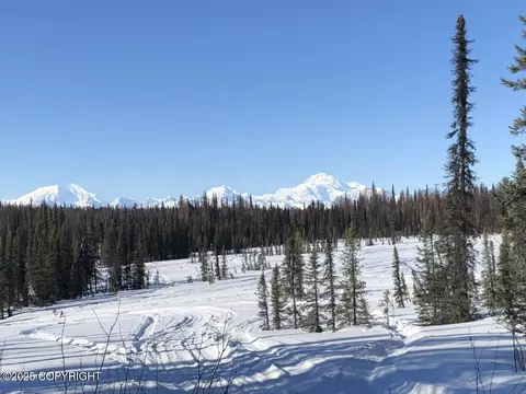 Tr C No Road, Trapper Creek, AK 99683