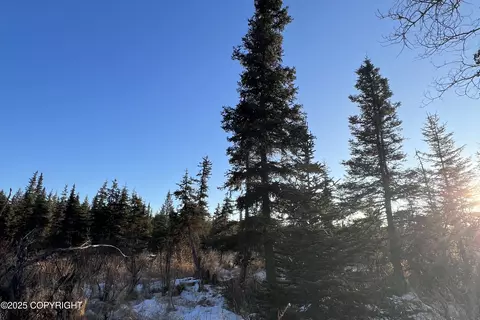 34725 N Fork Rd, Anchor Point, AK 99556