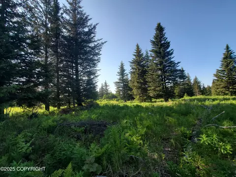 17435 Chefornak St, Ninilchik, AK 99639