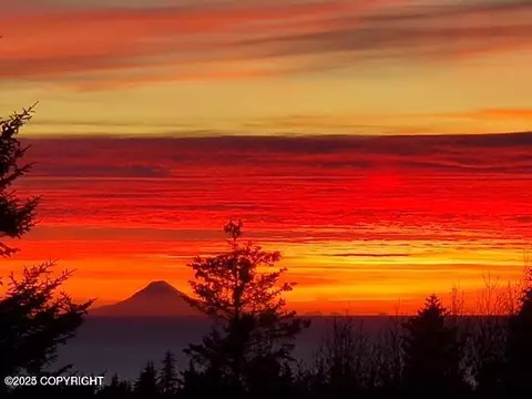 67466 Endless View Loop, Homer, AK 99603 photo 39