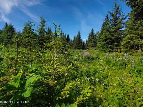 17617 Kimeluk St, Ninilchik, AK 99639