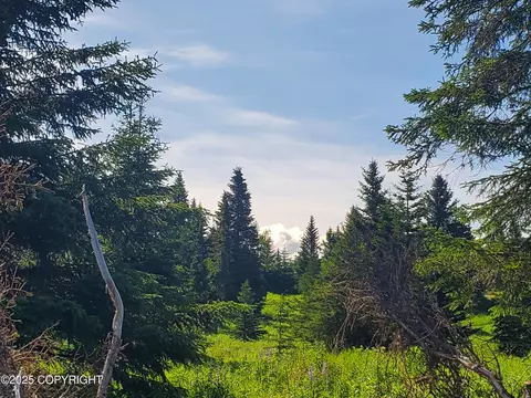 17490 Chefornak St, Ninilchik, AK 99639