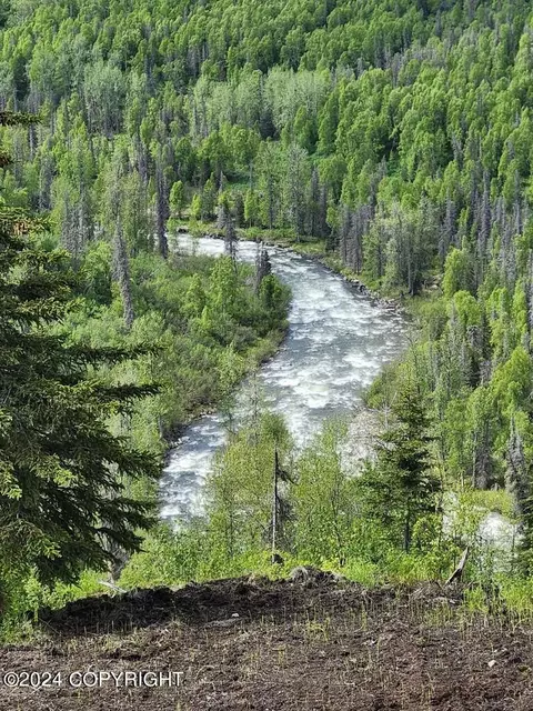 12565 W Snowberry Rd, Willow, AK 99688
