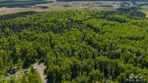 16016 E Greenleaf Dr, Talkeetna, AK 99676