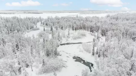 69282 S Mckinley Vis Lp, Willow, AK 99688 photo 6