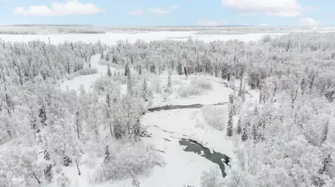 69150 S Mckinley Vis Loop, Willow, AK 99688 photo 6
