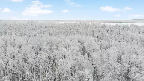 69150 S Mckinley Vis Loop, Willow, AK 99688 photo 5