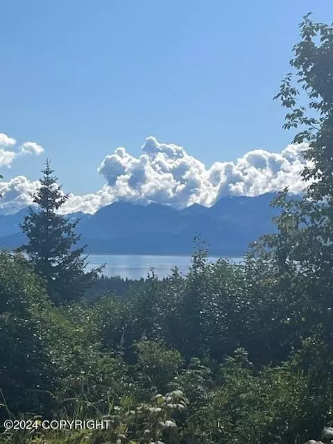 000 Bench Cir, Homer, AK 99603