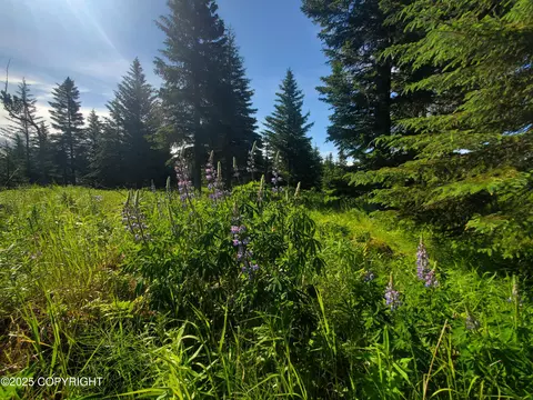 17528 Chefornak St, Ninilchik, AK 99639