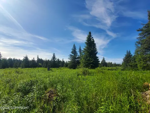 17584 Chefornak St, Ninilchik, AK 99639