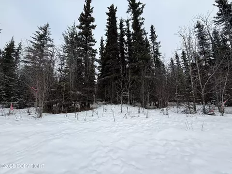 Mile .5 Old Edgerton Highway, Chitina, AK 99573