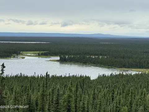 L7 Lou Anne Lane, Gakona, AK 99586