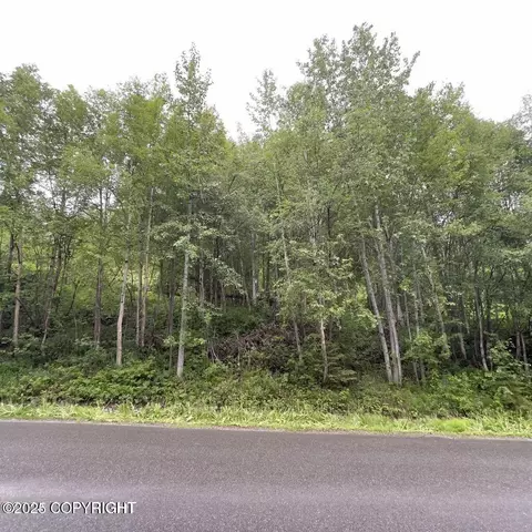 L 12 White Spruce Drive, Eagle River, AK 99577