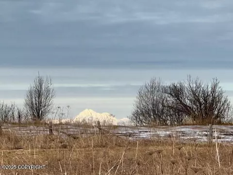 16125 Denali Cir, Ninilchik, AK 99639 photo 21