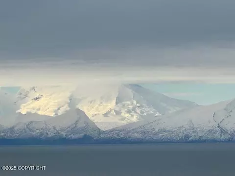 16125 Denali Cir, Ninilchik, AK 99639