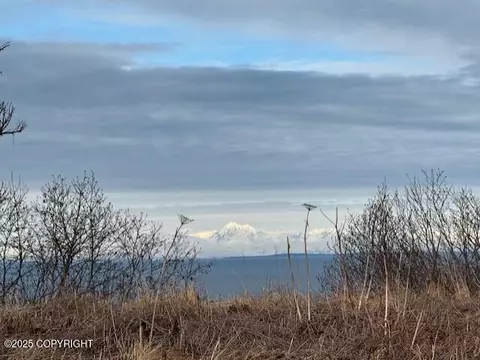 16125 Denali Cir, Ninilchik, AK 99639 photo 23