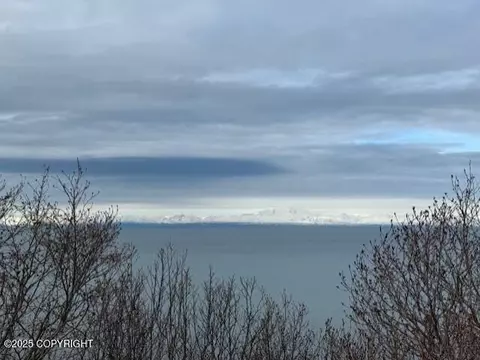 16125 Denali Cir, Ninilchik, AK 99639 photo 24