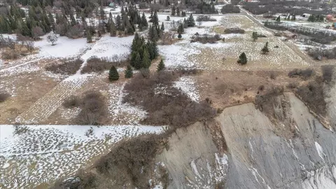 16125 Denali Cir, Ninilchik, AK 99639 photo 42