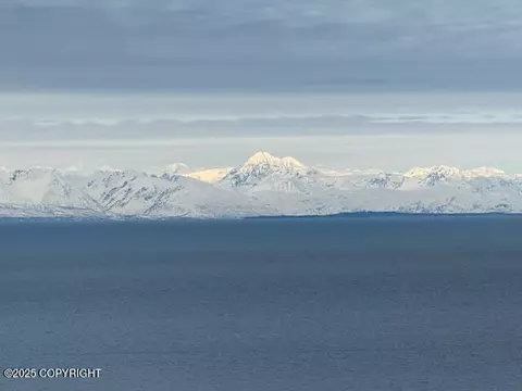 16125 Denali Cir, Ninilchik, AK 99639 photo 6