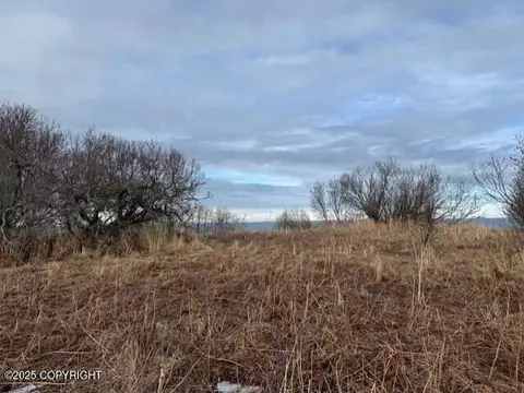 16125 Denali Cir, Ninilchik, AK 99639 photo 22
