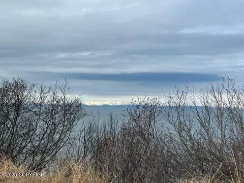 16125 Denali Cir, Ninilchik, AK 99639 photo 20