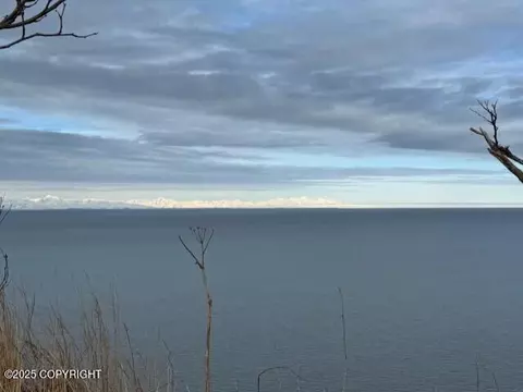 16125 Denali Cir, Ninilchik, AK 99639 photo 25