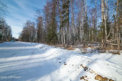 65318 S Parks Hwy, Willow, AK 99688