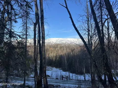 L6 B2 Spruce Hen, Wasilla, AK 99645
