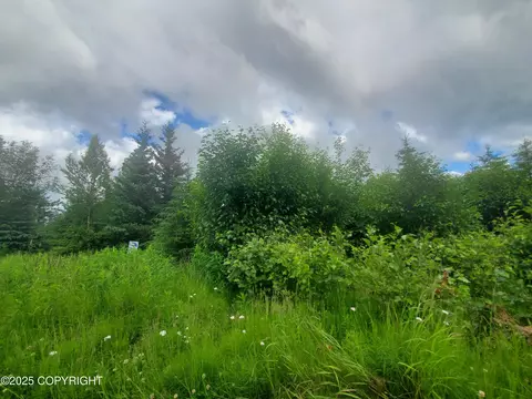 32370 Stacey Ln, Anchor Point, AK 99556