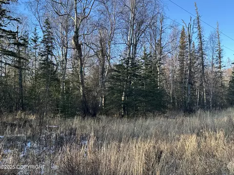 2180 E Groshan Loop, Wasilla, AK 99654 photo 3