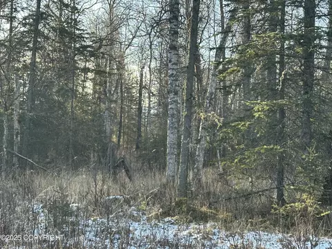 2180 E Groshan Loop, Wasilla, AK 99654