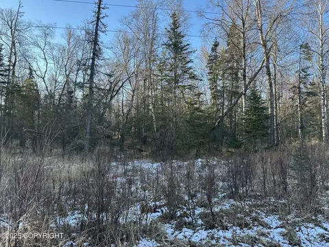 2180 E Groshan Loop, Wasilla, AK 99654 photo 4