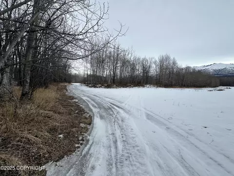 Exterior - 24220 E Bannon Way, Sutton, AK 99674 photo 7 of 15