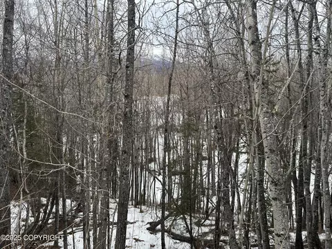 Other - 24220 E Bannon Way, Sutton, AK 99674 photo 53 of 110