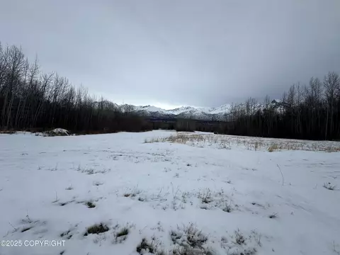 Other - 24220 E Bannon Way, Sutton, AK 99674 photo 30 of 110
