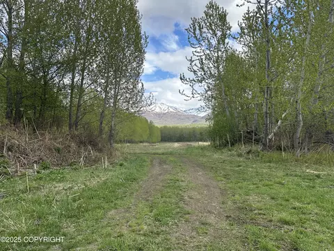 Other - 24220 E Bannon Way, Sutton, AK 99674 photo 61 of 110